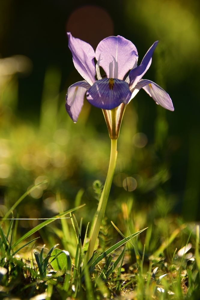 Photograph by Anita Taschek