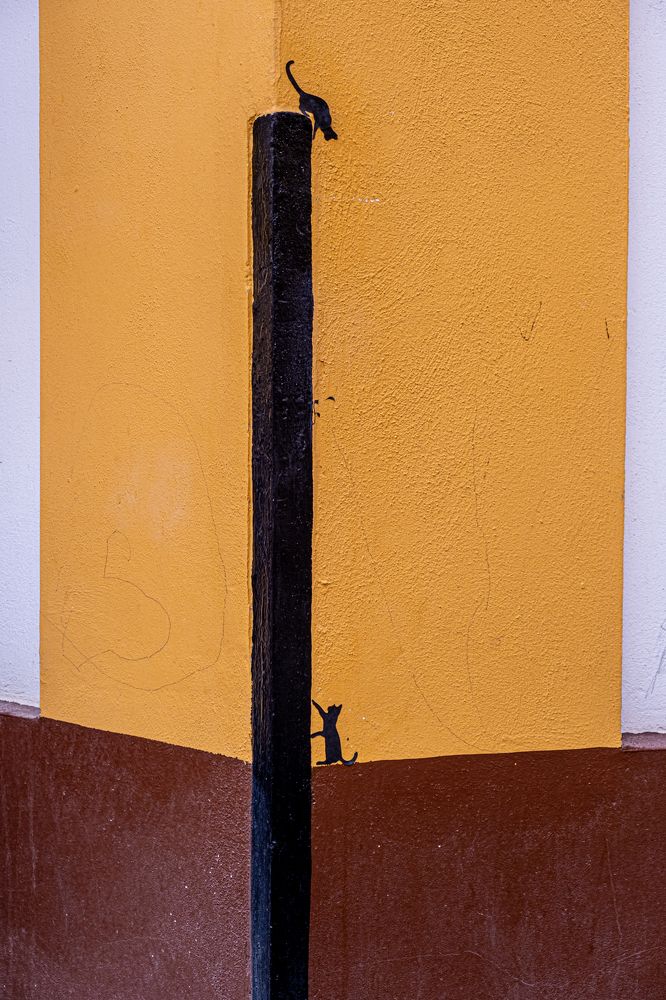 Photograph by Amelia Pardo