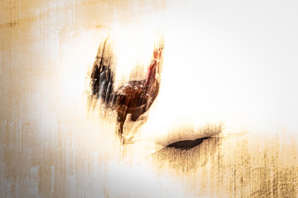 Photograph by Amelia Pardo