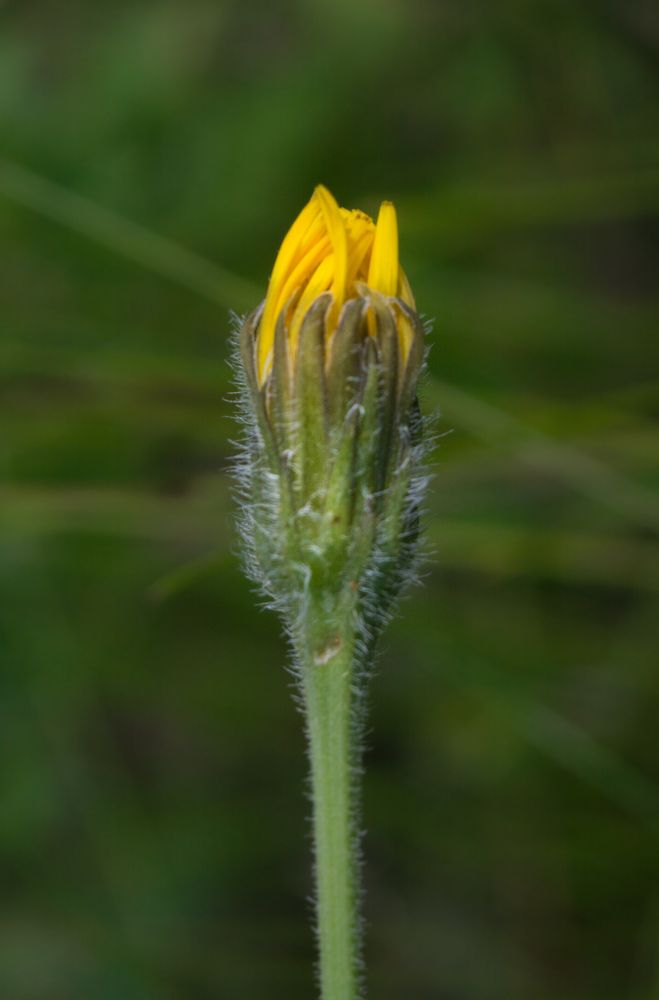 Photograph by Александр Халимов