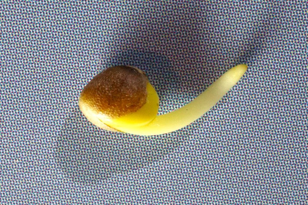 Photograph by Михаил Трусов