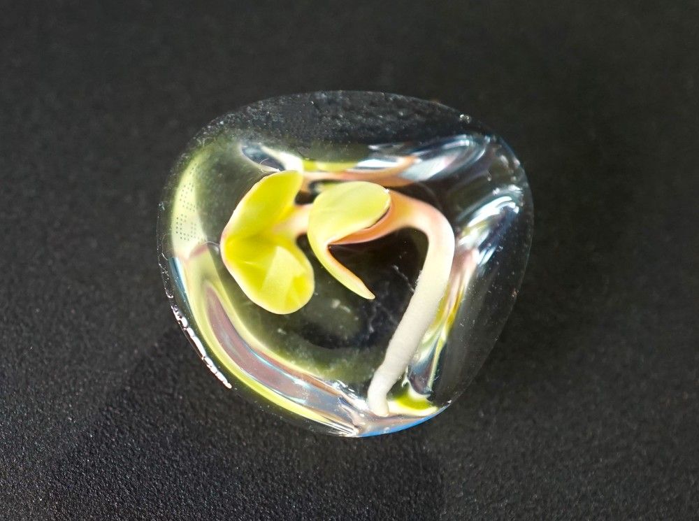 Photograph by Михаил Трусов