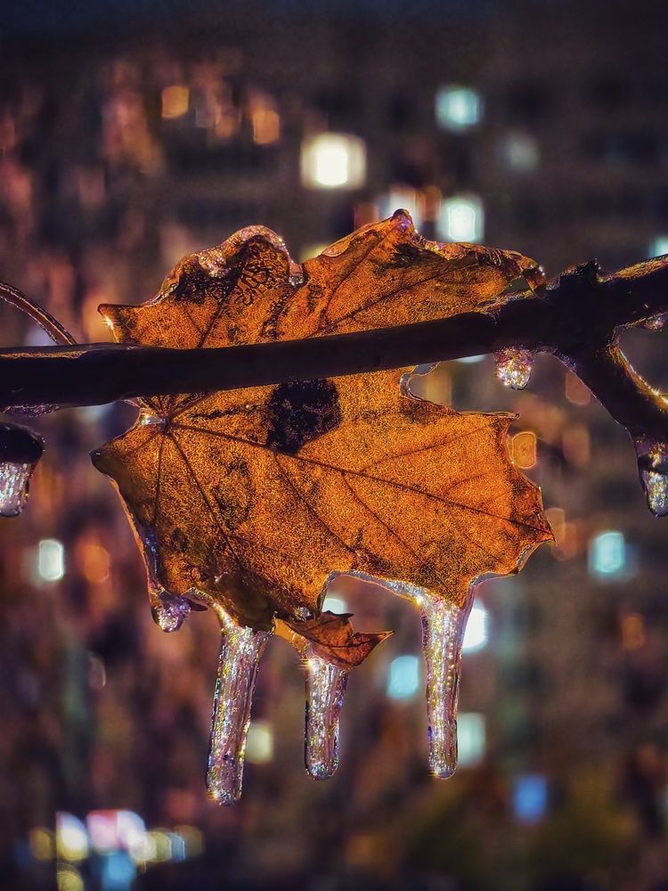 Photograph by Владимир Крылов