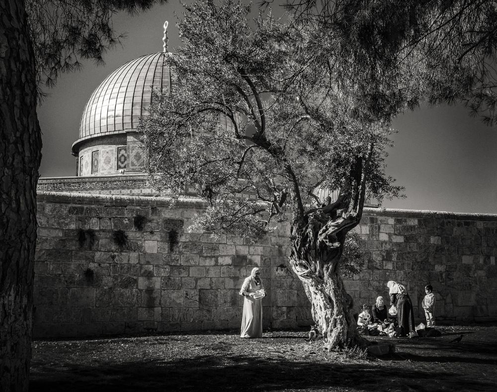 Photograph by Alexandr Makarenko