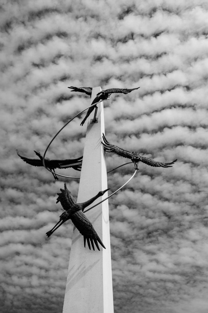 Photograph by Анна Шевляк