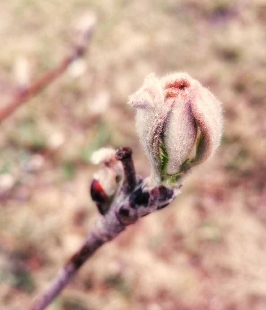 Photograph by Наталья Веряскина