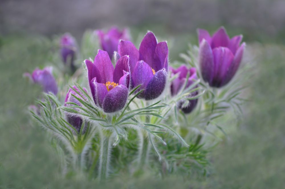 Photograph by Светлана Муравьева