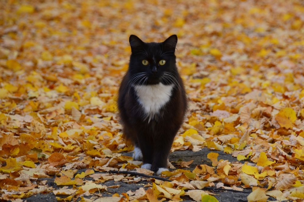 Photograph by Владислав Завальнюк