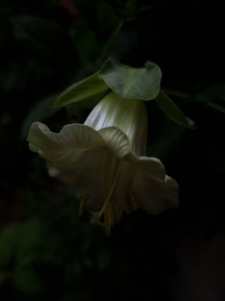 Photograph by Сергей