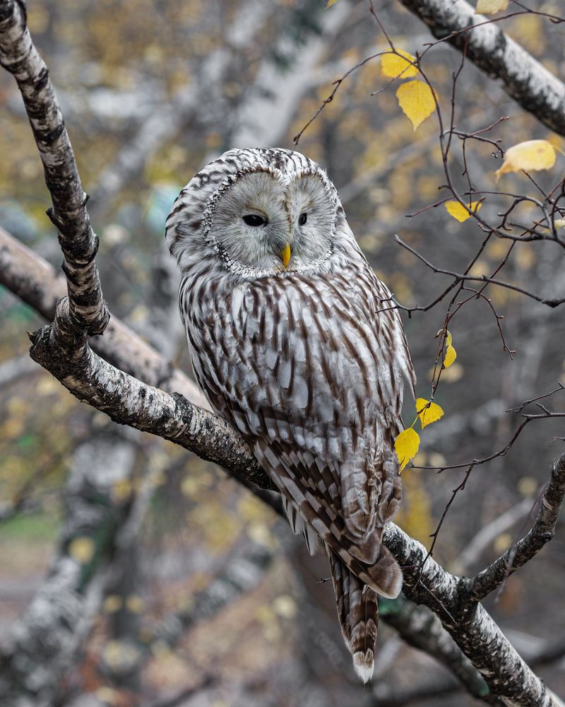 Какие у Вас ко мне вопросы?