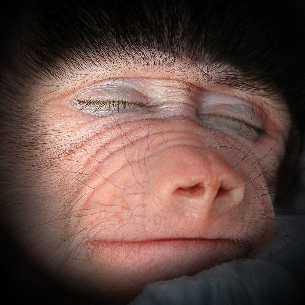 Photograph by Виктор Смирнов