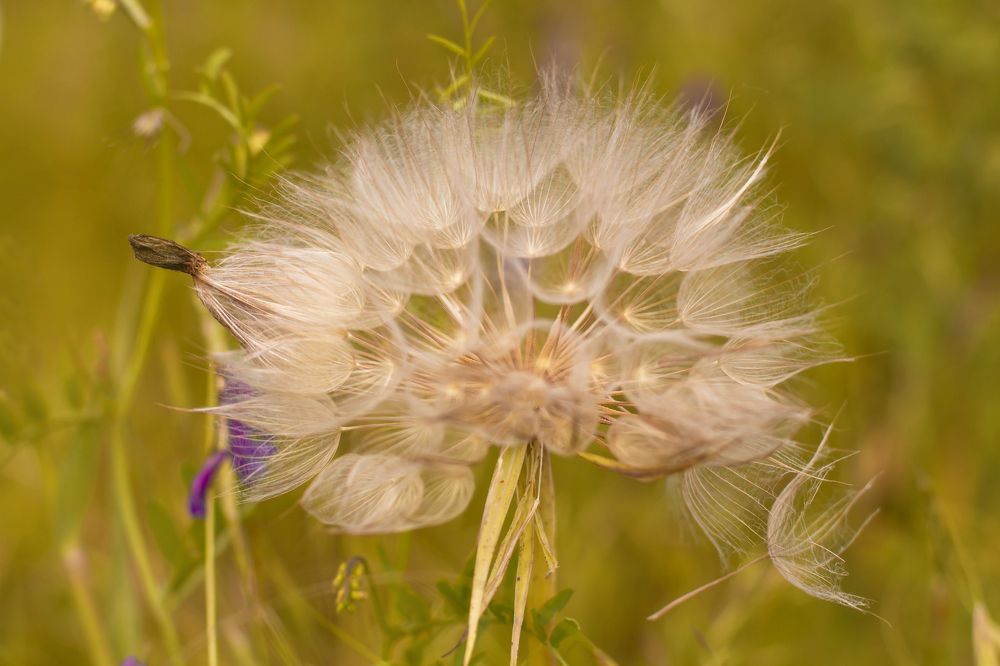 Photograph by Тамара Киреева