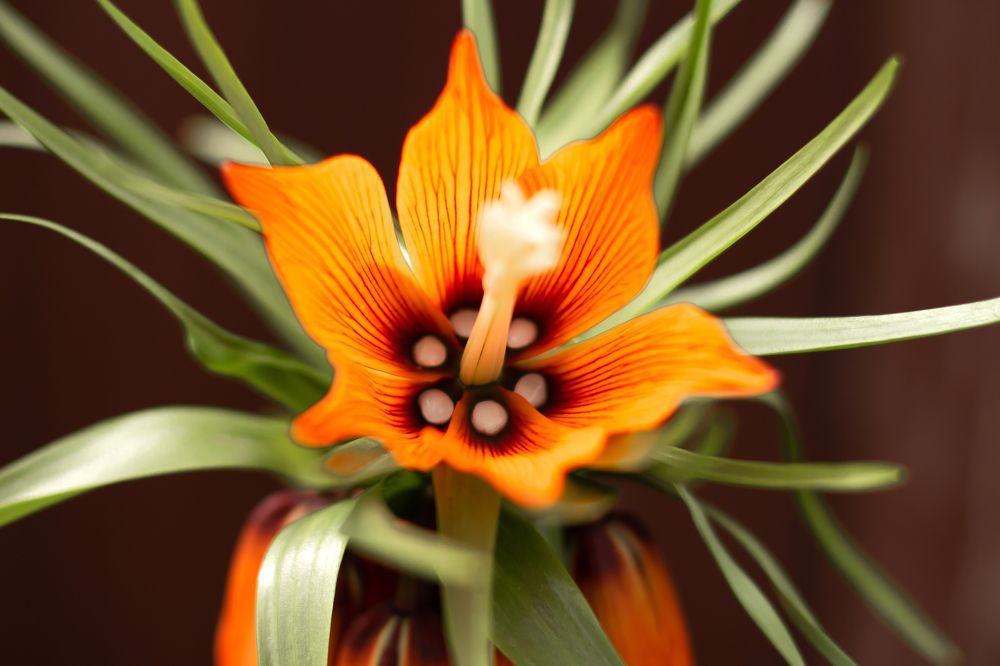 Photograph by Тамара Киреева