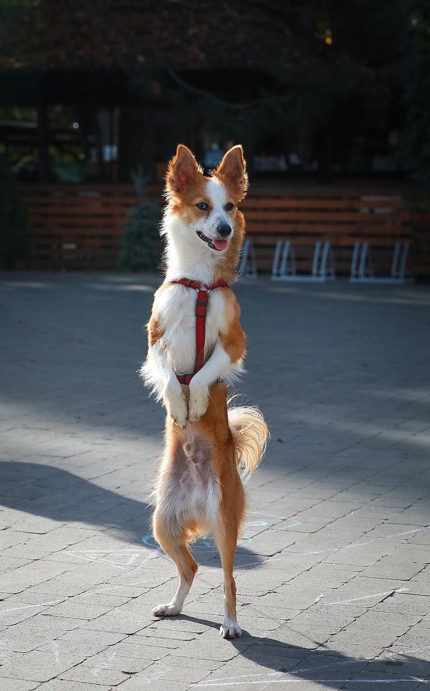 Photograph by Ирина Подгорная