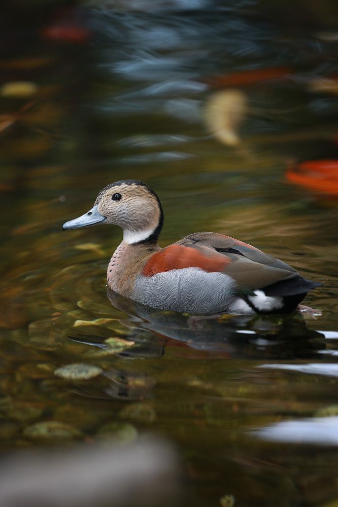 Photograph by Ирина Подгорная