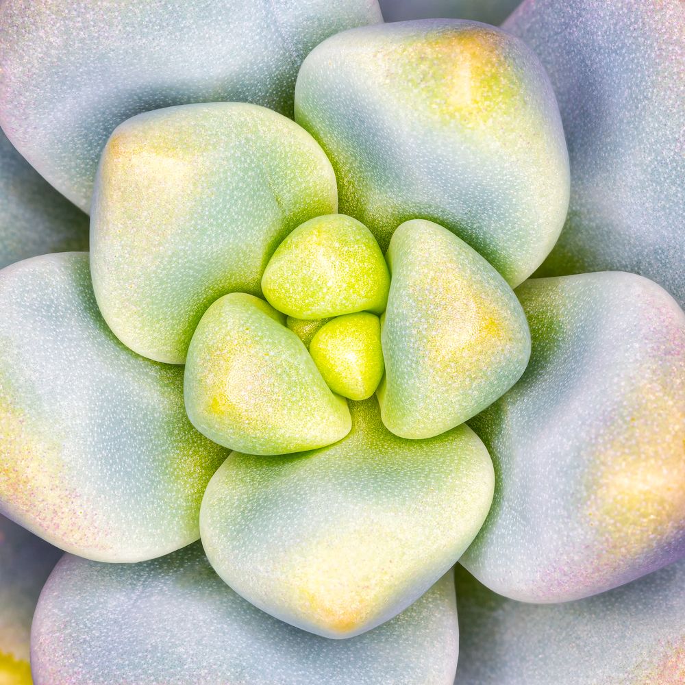 Photograph by Zhenhuan Zhou