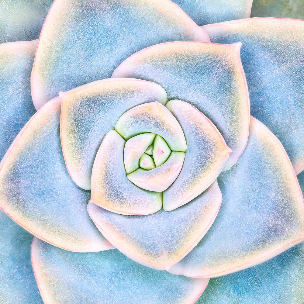 Photograph by Zhenhuan Zhou