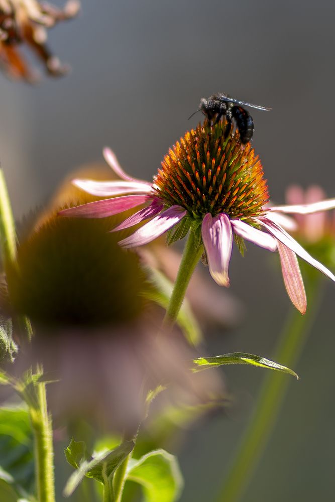 Фотография автора Дмитрий Кетов