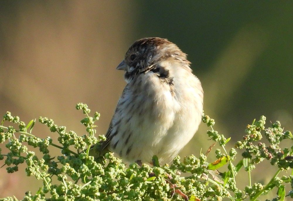 Photograph by Владимир Джерихов