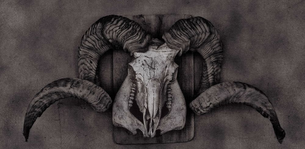 Photograph by Александр Халимов