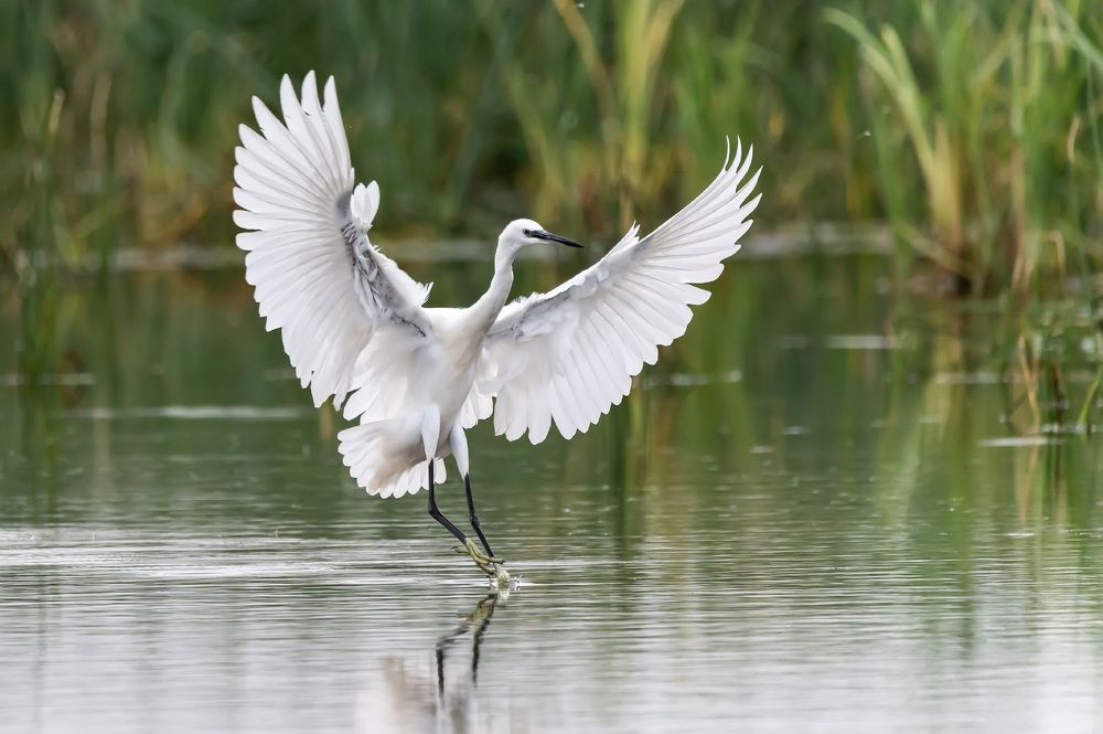 Photograph by Александр Щербаков