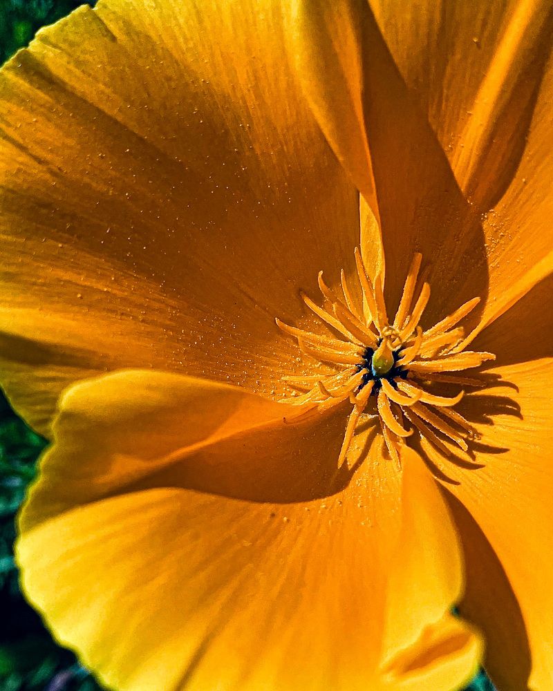 Photograph by Svetlana