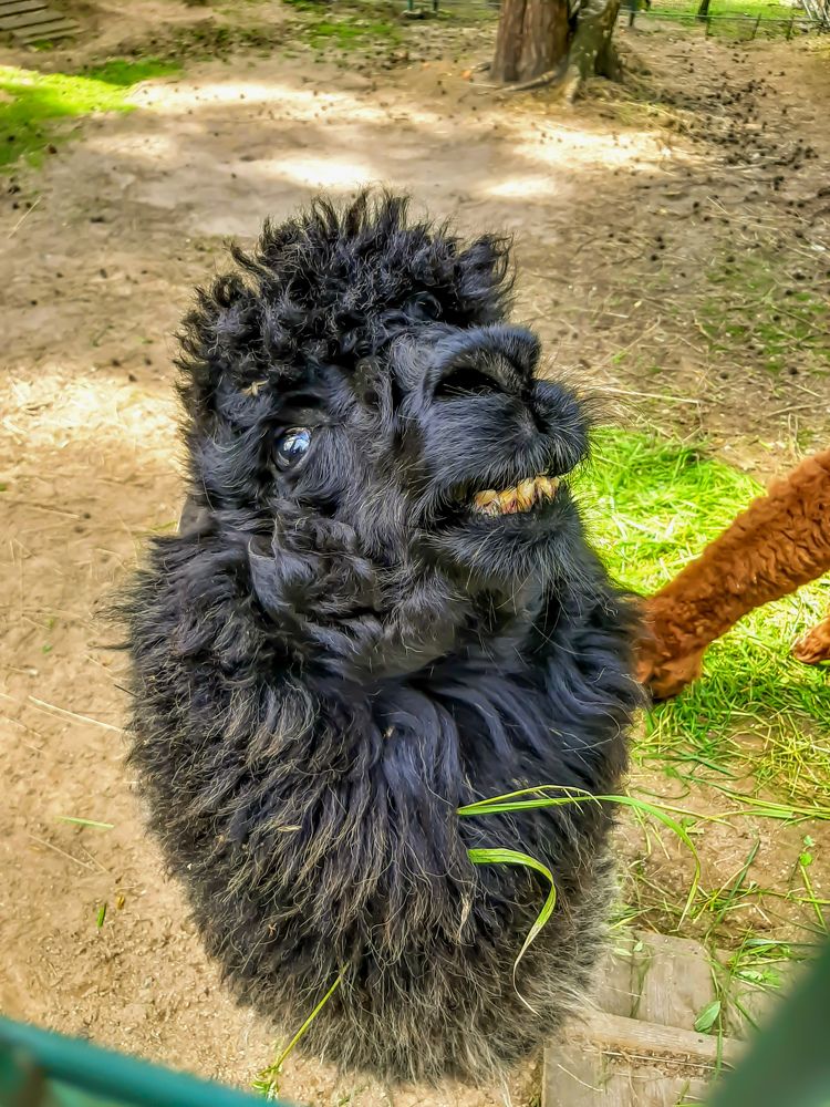 Photograph by Сергей Назаредский