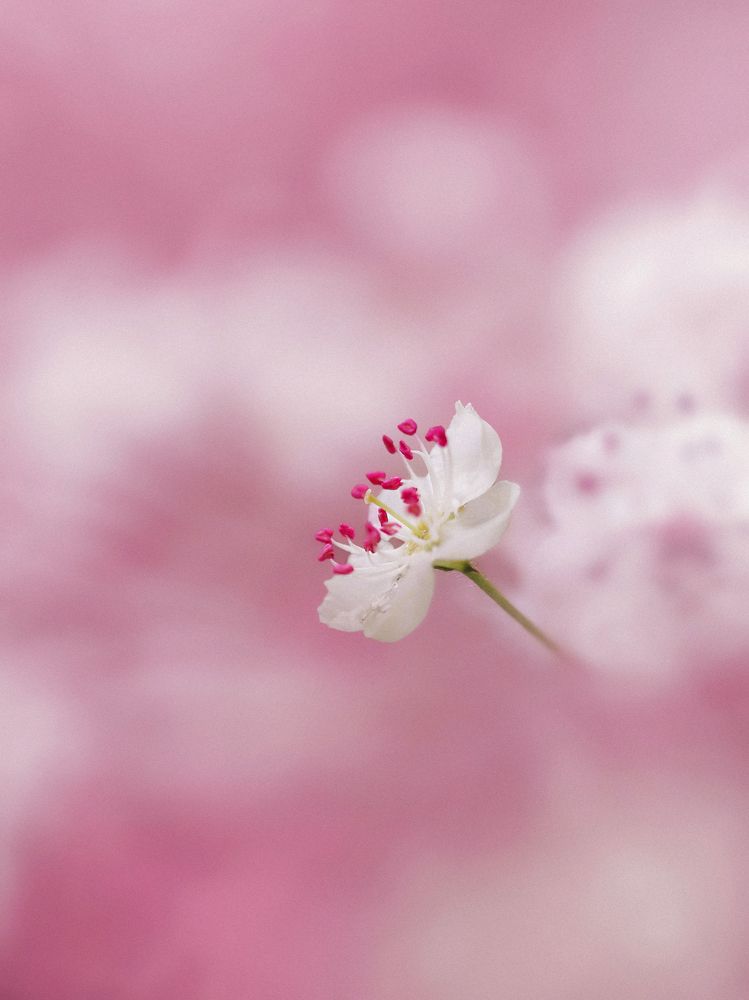 Фотография автора Foto