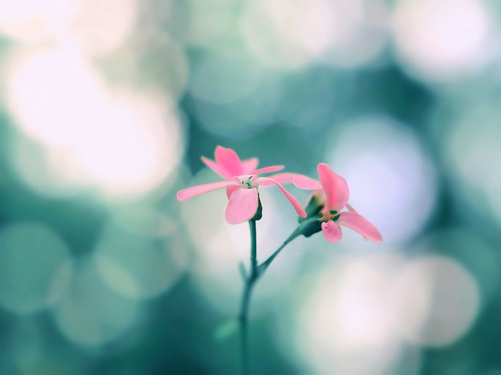 Фотография автора Foto