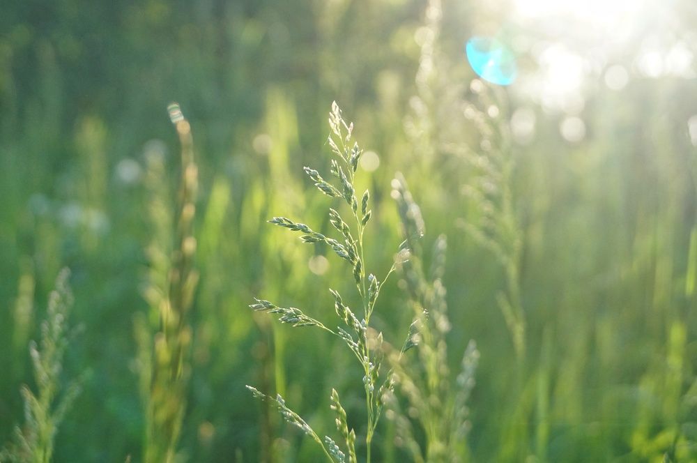 Photograph by Анна Богданова