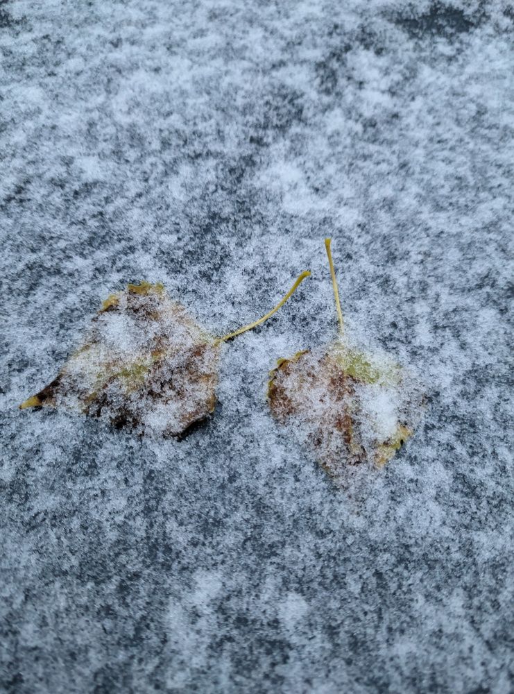 Photograph by Владимир Шаруба