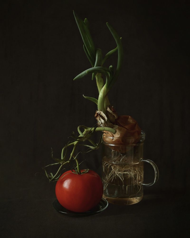 Photograph by Tatiana Serova