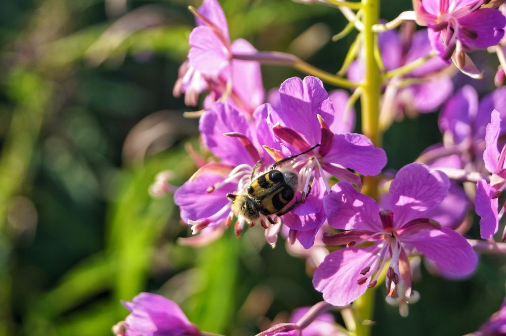 Photograph by Анна Богданова