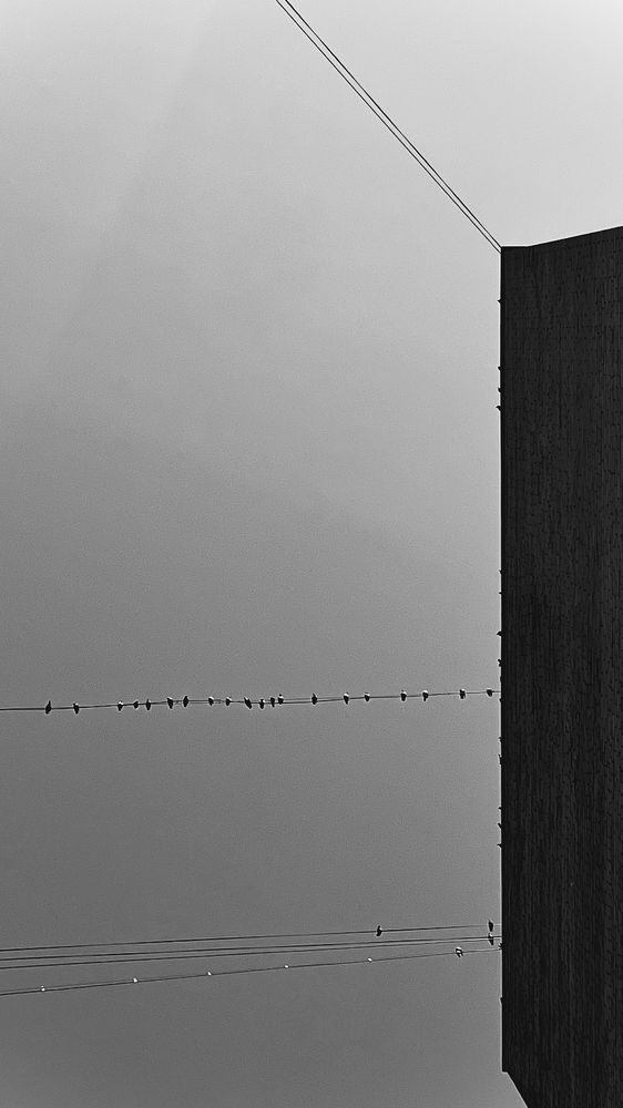 Photograph by Oxana Petlina