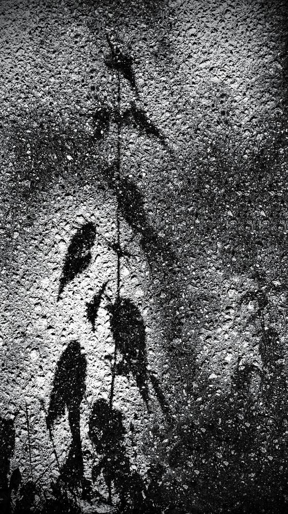 Photograph by Oxana Petlina