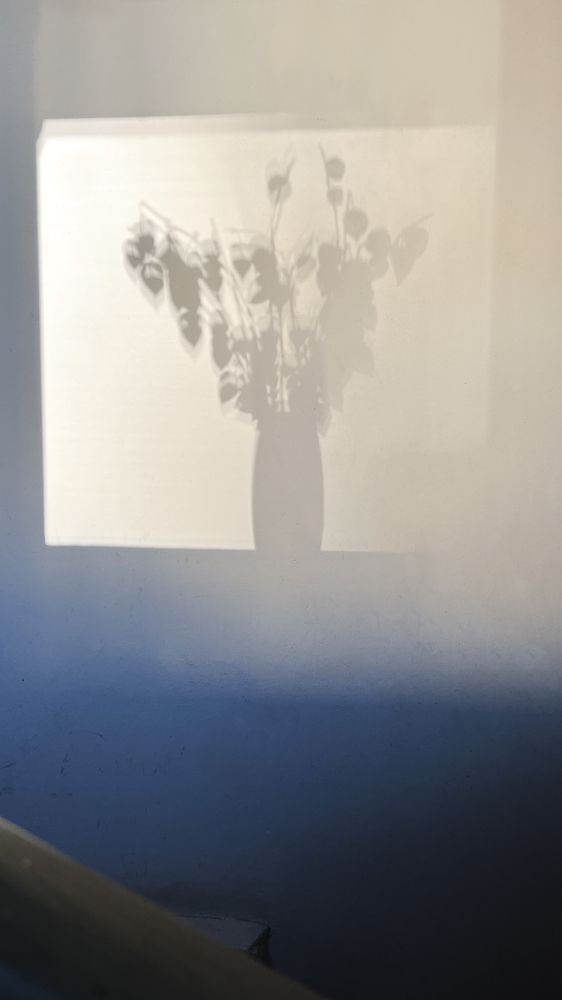 Photograph by Oxana Petlina