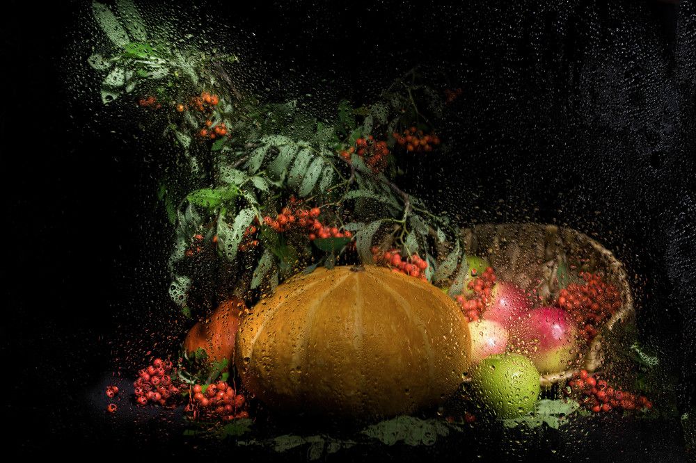 Photograph by Татьяна Суржанская