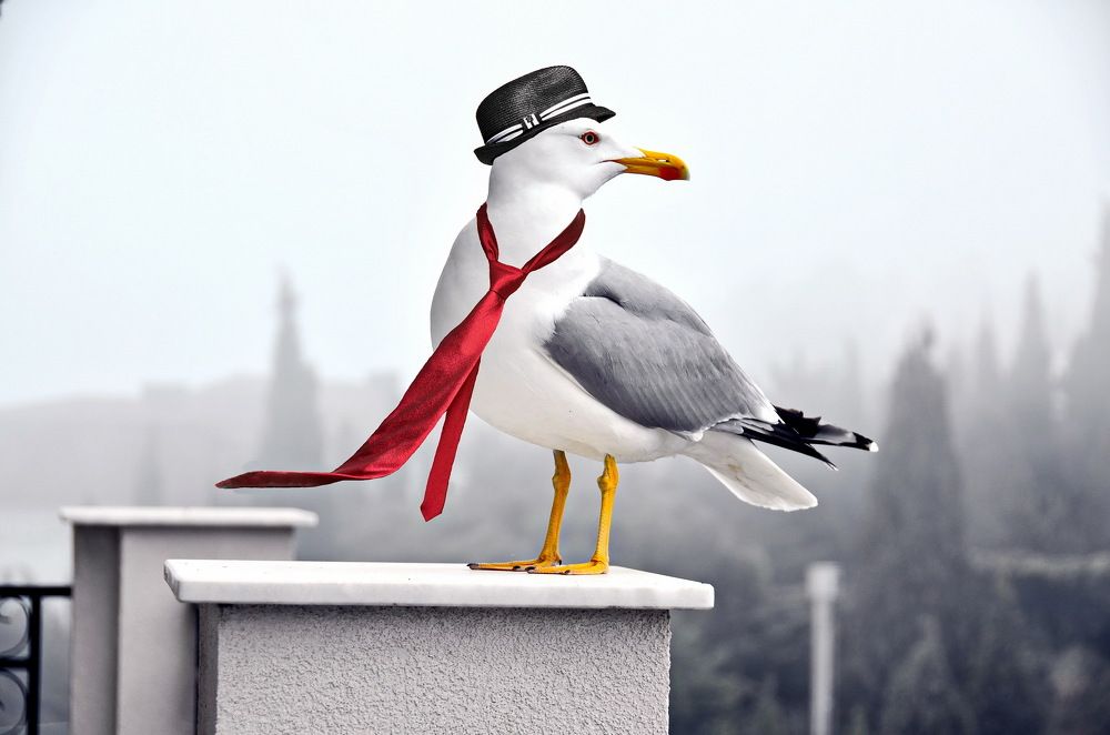 Photograph by Лидия Ушакова