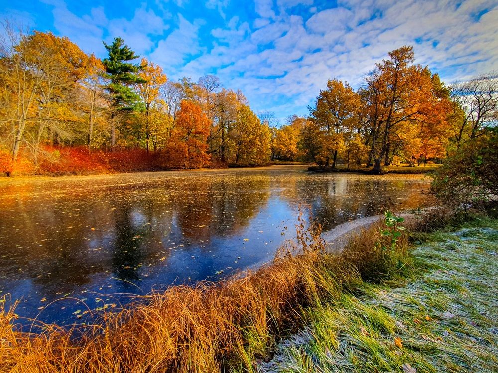 Осеннее настроение.