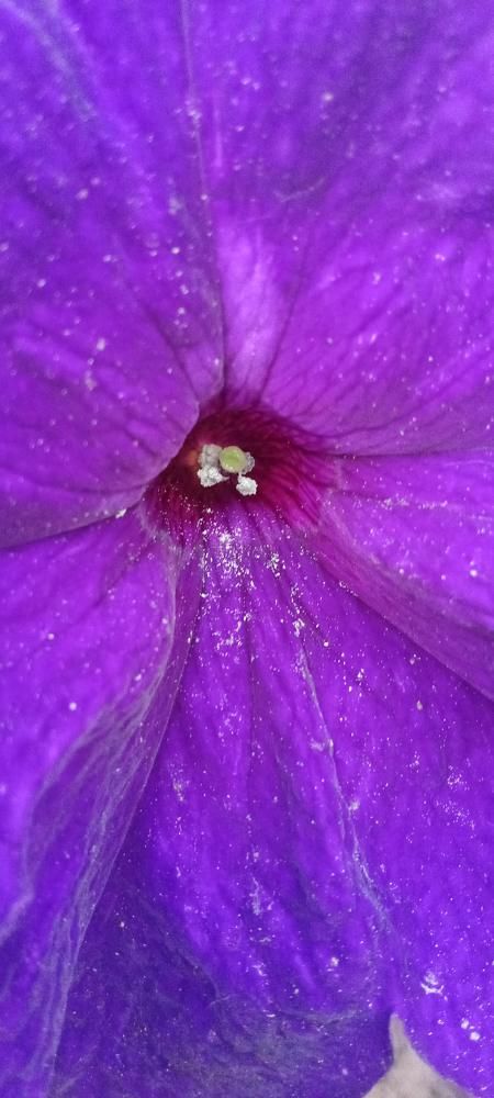 Photograph by Olga Lagynova