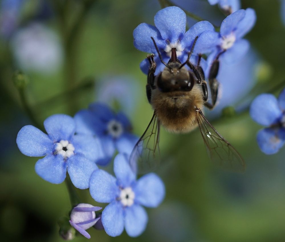 Фотография автора Liudmila Kiermeier