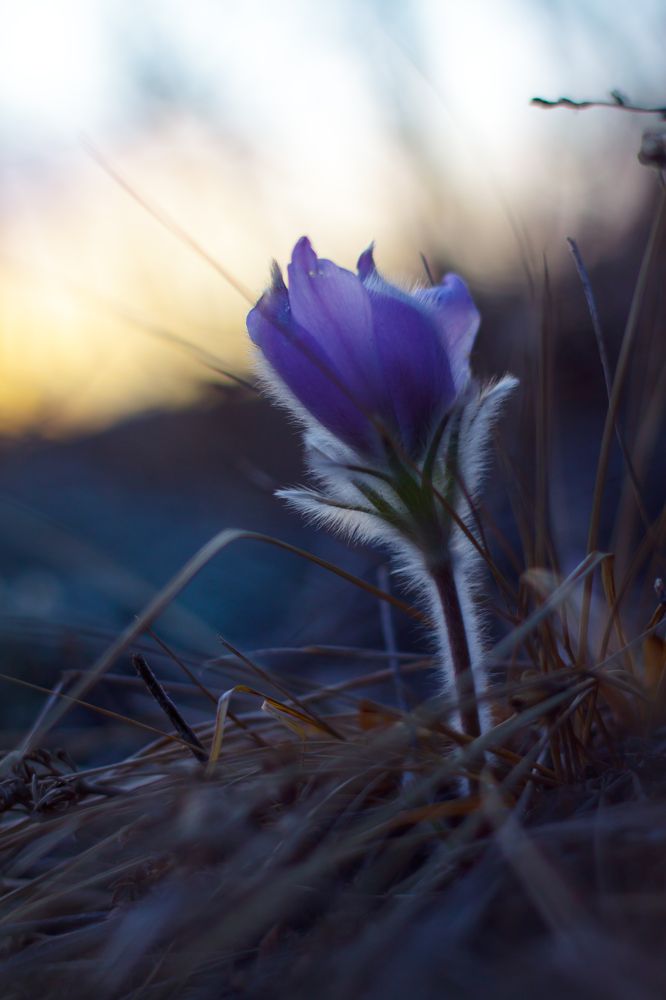 Photograph by Aleksey Maevskiy