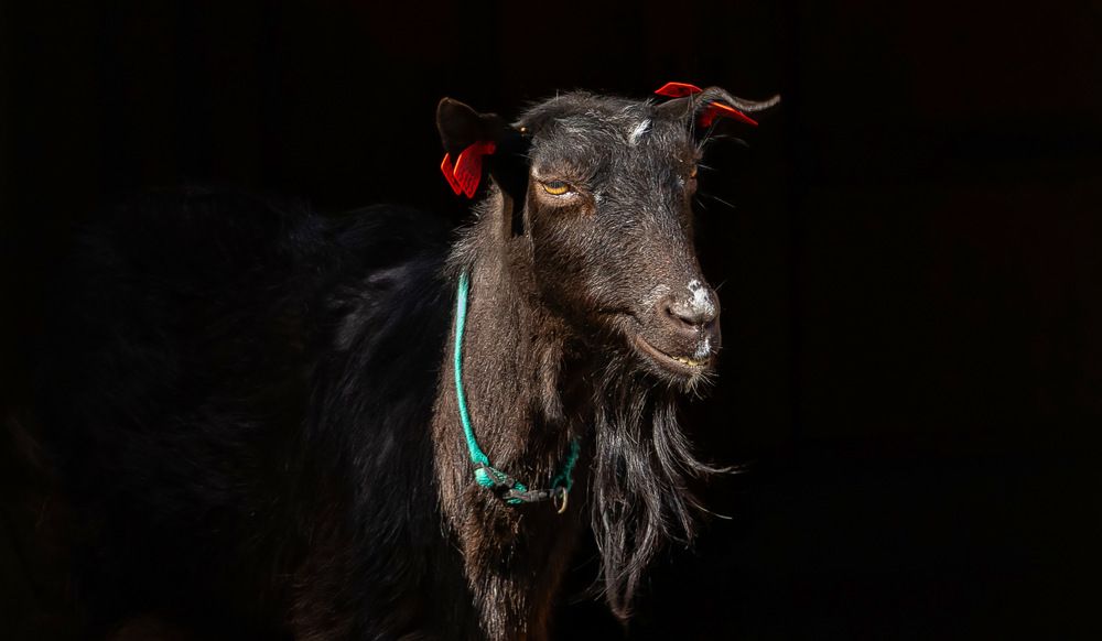 Photograph by yuri kutukov