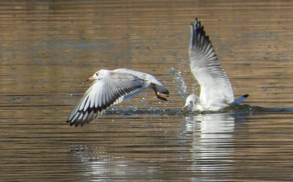 Photograph by Владимир Джерихов