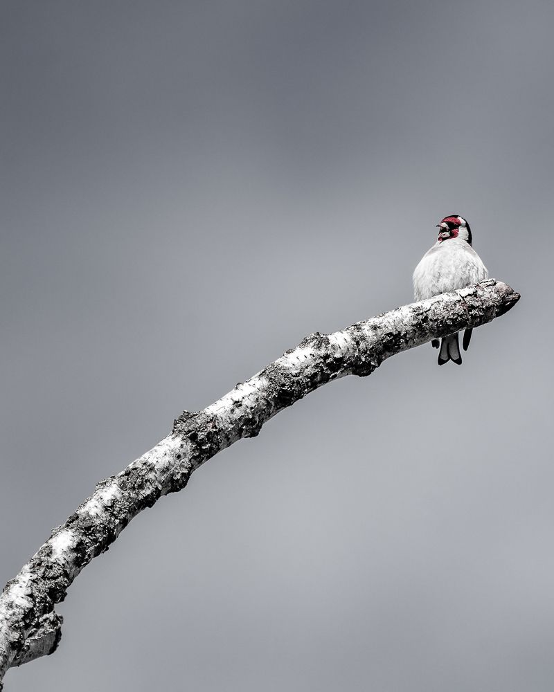 Photograph by Екатерина Дубровская