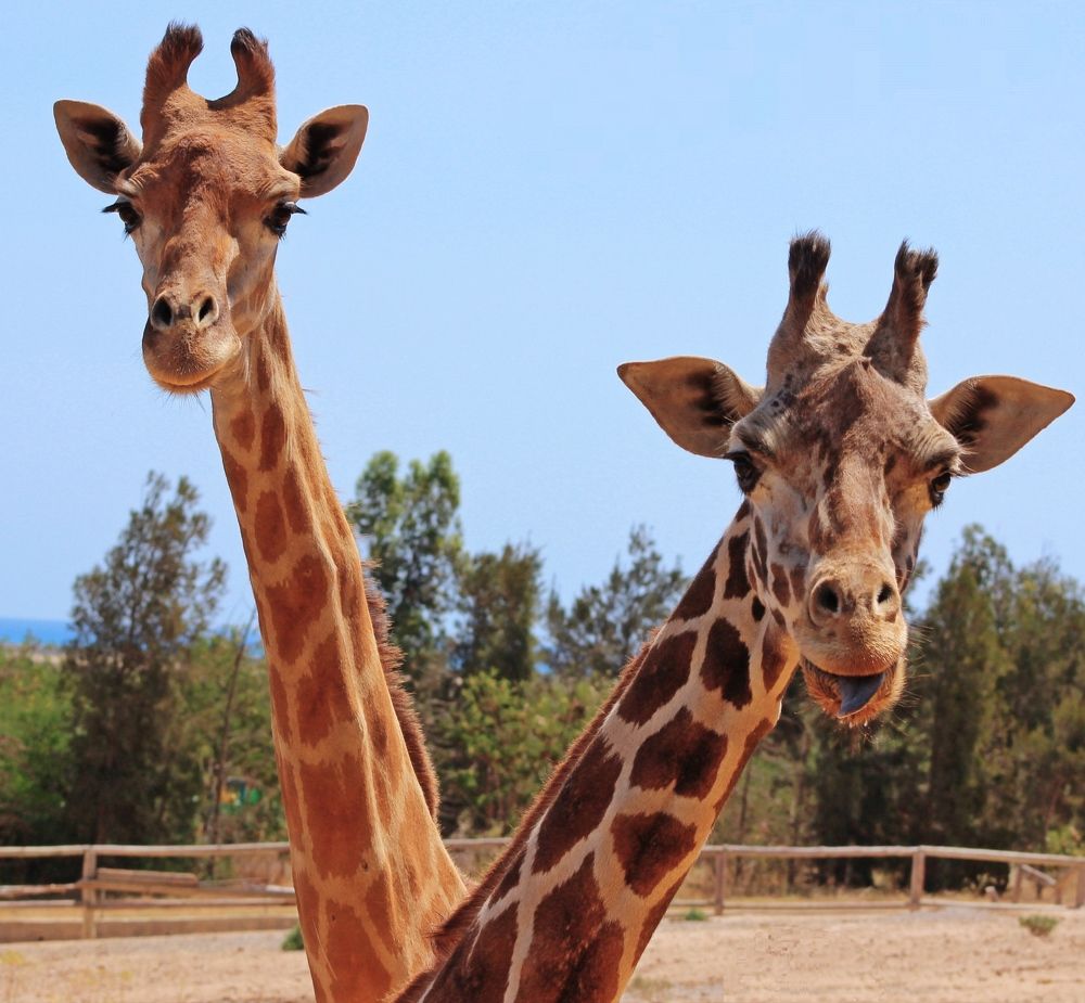 Photograph by Александр Копылов