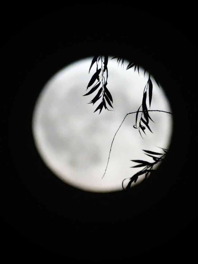 Photograph by Карина Слабкая