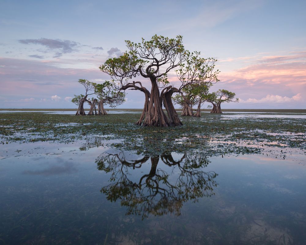 Photograph by Арсений Кашкаров