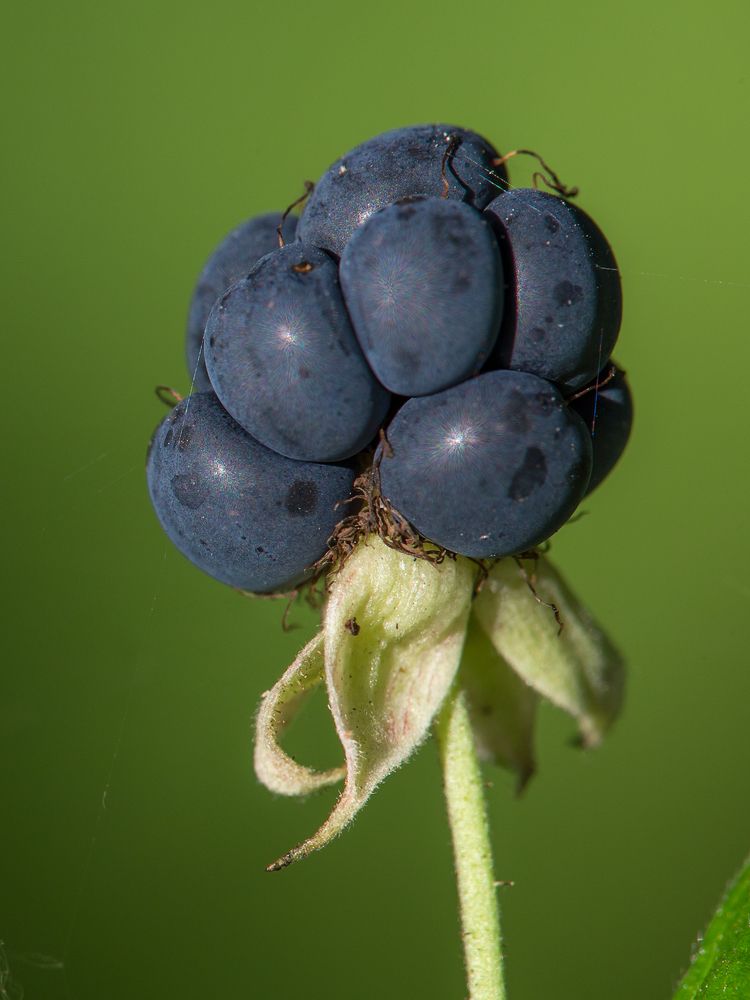 Photograph by Сергей Алексеев