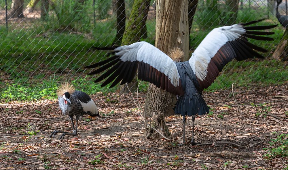 Photograph by yuri kutukov